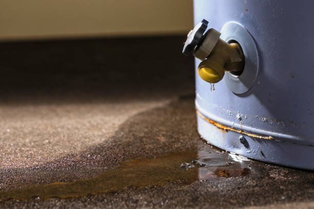 Best Flooded house restoration  in Prospect, OH