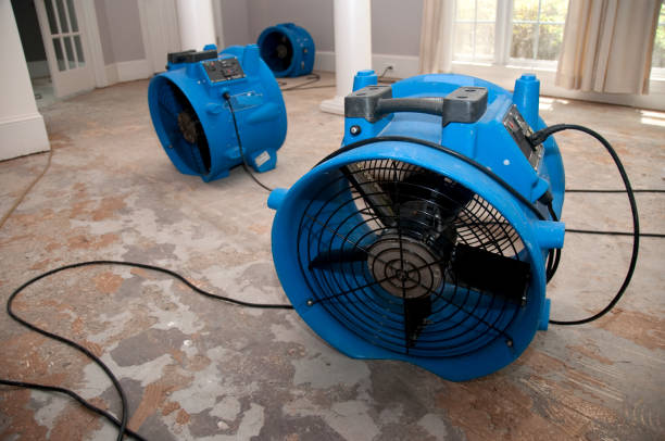 Best Professional water damage repair  in Prospect, OH