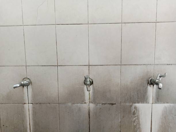 Best Water damage restoration near me  in Prospect, OH