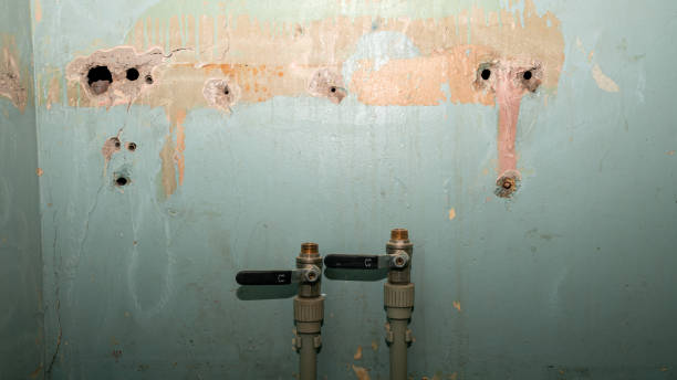 Best Mold removal after water damage  in Prospect, OH