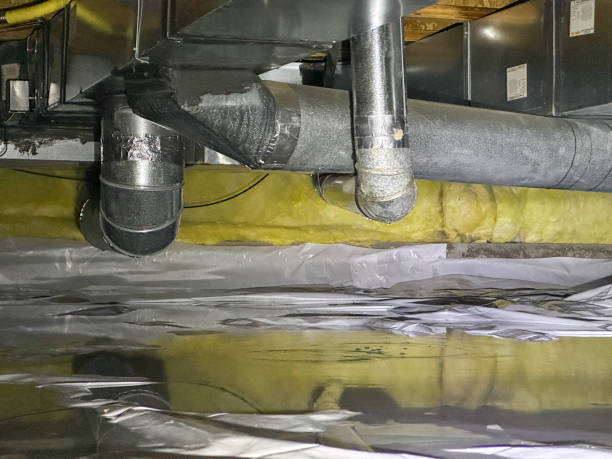Best Sewage cleanup and water damage restoration  in Prospect, OH
