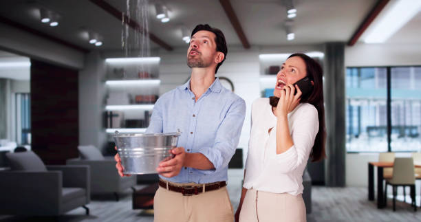 Best Flood damage cleanup  in Prospect, OH