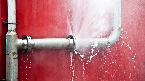 Best Fire Damage Restoration  in Prospect, OH